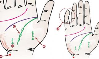 掌纹看健康 掌纹看健康